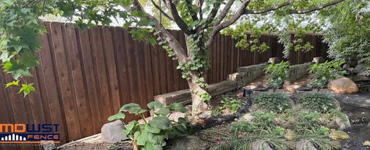 Pre-stained 1x6x6' Dog Ear CedarGlow Picket