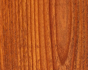 Wood Defender Transparent Fence Stain 5-Gallon