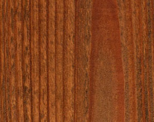 Wood Defender Transparent Fence Stain 5-Gallon